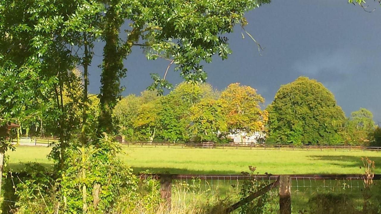 Gites De La Maison Du Haras Beuvron en Auge Bagian luar foto